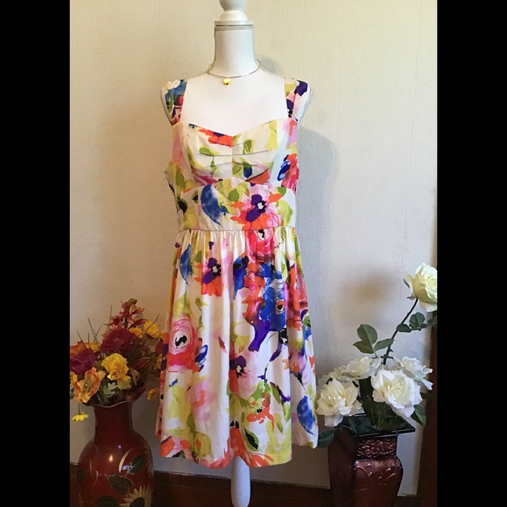 NWOT  Alyx Limited sexy Dress multi color size 12